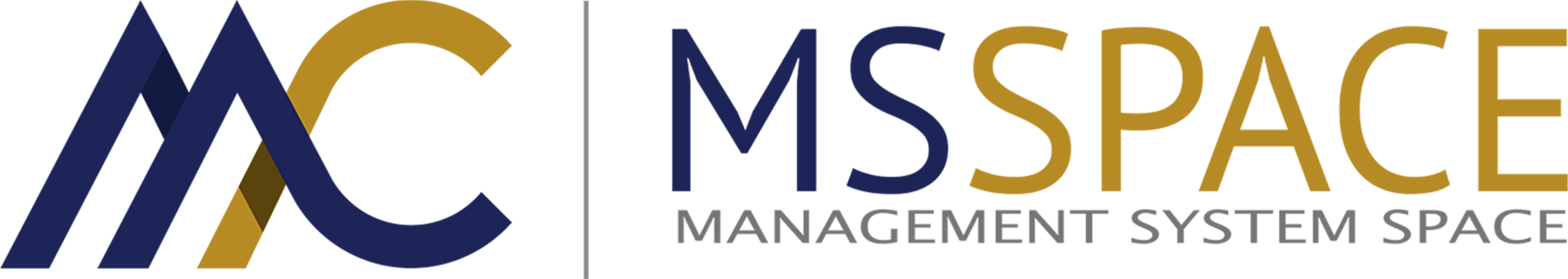 MSSPACE Global logo